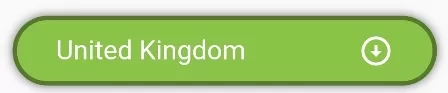 How to Style DropdownButton in Flutter screenshot