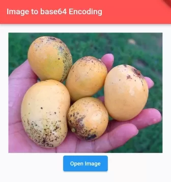 How to Convert Image to Base64 Encoding in Flutter/Dart screenshot